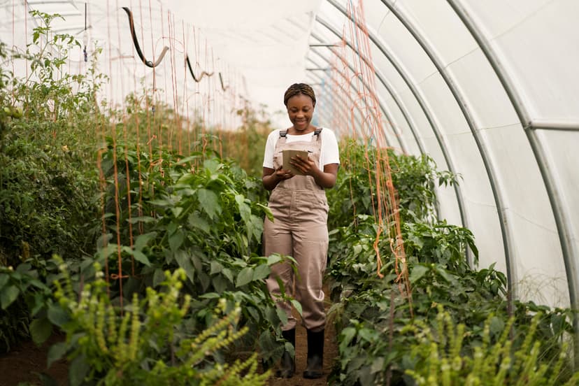 agriculture